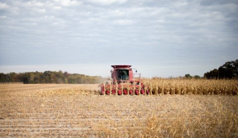 O resgate de Trump aos agricultores e o sistema alimentar quebrado dos EUA